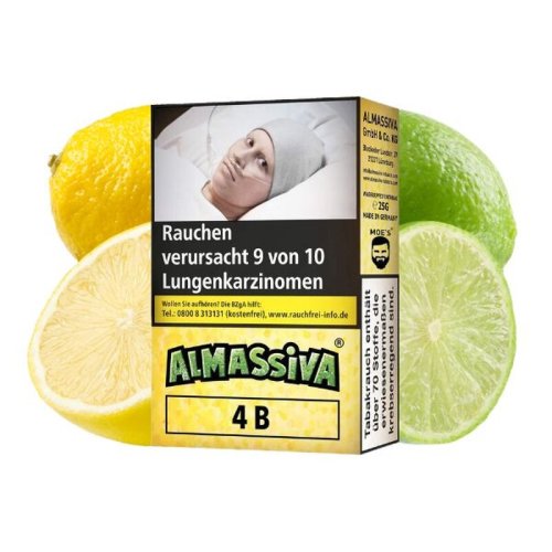 Al Massiva 4b Eine Familie