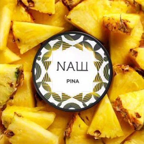 NASH PINA